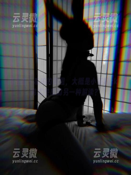 微密圈 - 私拍的原图，大概是小猫咪ck对韩式性感的另一种解读？