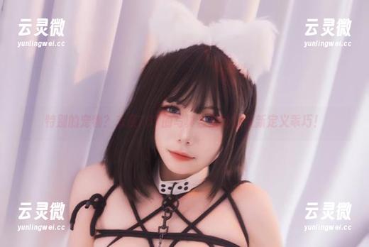 末夜787 特别的宠物?末夜787的写真合集让我重新定义乖巧!