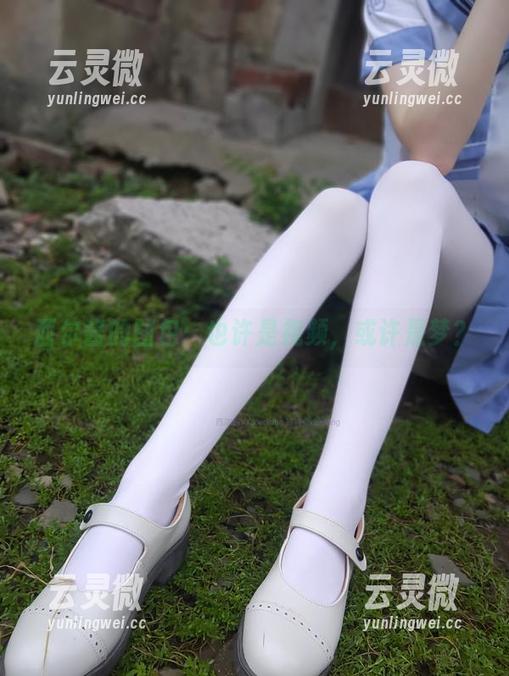 西尔酱的图包：也许是视频，或许是梦？